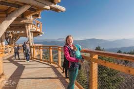 Krynica zdrój wieża widokowa zima. Wieza Widokowa Krynica Ceny Godziny Opinie Hasajace Zajace