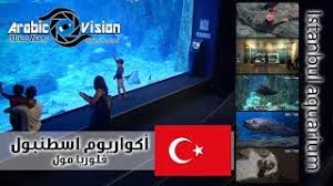 اكواريوم اسطنبول Istanbul Aquarium فلوريا مول البيئة البحرية تركيا Youtube