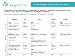 Weaning Plan For 6 Month Old Baby Organic Food