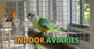 The most important thing is to find material with the right bar spacing. What Is The Best Indoor Aviary For Sale Reviews Set Up Guide