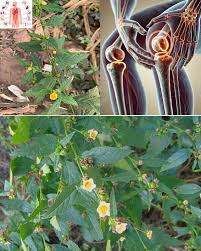 Ｈａｐｐｙツ - The Hidden Power of Stubborn Grass: The Unpretentious Wonder of  Nature.... 💬👀👇 See more: https://yeuhanoi.net/ym4g | Facebook