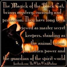 Black Cat Symbolism Spirit World Spiritual Meaning Magickal Totem Halloween Samhain Witch Witchy Wicca Knowledge Book Of Black Cat Magick Animal Spirit Guides