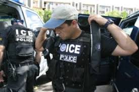 Working with the department of homeland security, for example, a crime prevention specialists helps to assess and plan for emergency response situations. Top 25 Jobs In Homeland Security For 2019 Criminal Justice Degree Hub