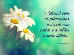 Primavera Frase Aprendi Com As Primaveras A Deixar Me Cecilia Meireles Frases E Poemas Frases Cecilia Meireles Frases