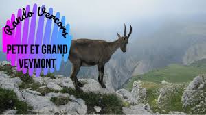 Randonnee Vercors Petit Et Grand Veymont Youtube