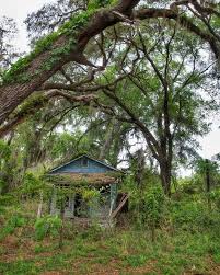 This roadside relic in Florida is slowly being reclaimed by nature, as  looming oak trees and creeping vines threaten to swallow it whole. I can't  help but wonder how much longer it
