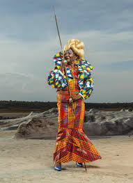 Image result for Afrobrunnichia