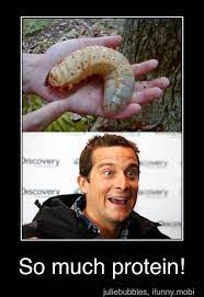 I'm gonna be honest this video isn't that good so i need some people to comment some ideas down below. 30 Bear Grylls Memes That Are Just So Hilarious Sayingimages Com Funny Grumpy Cat Memes Bear Grylls Funny Memes