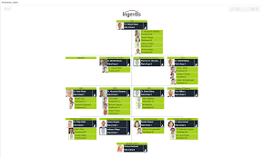 Succession Planning Org Chart View Visualize Possible