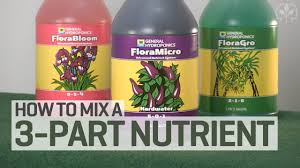 If not what do you suggest? How To Mix A 3 Part Hydroponics Nutrient Solution Youtube