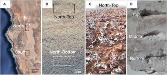 Taxa auto va fi introdusă cel mai probabil la începutul verii și ar urma să fie cuprinsă între 50 de euro și 3.000 de euro, în funcție de norma de poluare. Frontiers Environmental Factors Driving Spatial Heterogeneity In Desert Halophile Microbial Communities Microbiology