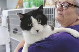Pin On Pets And Animals