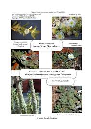 Image result for Delosperma tradescantioides