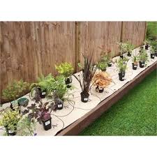 Shady Border Collection 3m X 60cm Small Garden Borders Shade Garden Plants Small Front Garden Ideas Uk