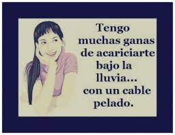 Imagenes De Desamor Con Frases Anti Amor Sarcasmo Odio Y Olvido Make Me Laugh Humor Memes