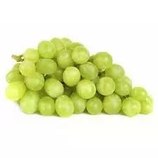 Green grapes coloring pages | coloring pages, leaf. What Is The Difference Between Red Or Green Grapes Quora