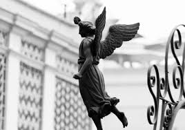 mark birkholz Archives