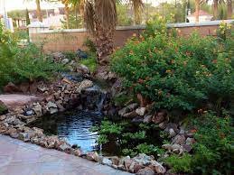G Kelley My Backyard Pond In Las Vegas Nevada Waterfalls Backyard Outdoor Ponds Water Garden