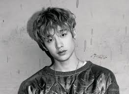 Дивы фанарт все позы для девичьих фото художники красивые мужчины. Bang Chan Stray Kids Age Wiki Girlfriend Facts And More Wikifamouspeople