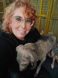 How to rescue and provide medical treatment to a suffering dog in Colva?