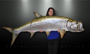 Fish Mounts So Real You Swear They Re Alive Fish Mounts Fish Deer Skulls