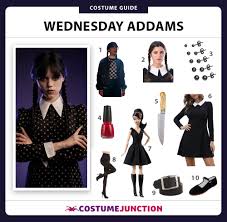 Wednesday Addams Costume –