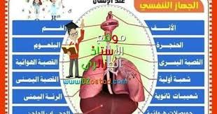 درس الجهاز التنفسي و الهواء مادة التربية العلمية السنة الرابعة و الخامسة ابتدائي الجيل الثاني Respiratory System Education System