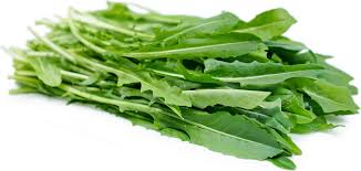 Try using dandelion leaves in your . Dandelion Greens Information Recipes And Facts
