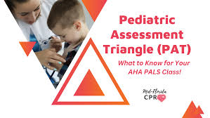 Image result for Pediatric Assessment Triangle