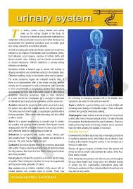 Urinary Factsheet By Owen Homoeopathics Via Slideshare Homeopathy Homeopathic Remedies Health Heal