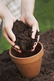 For example, if you use nothing but topsoil, your plants don't have anything to gather nutrients from. How To Make Potting Mix
