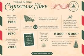 Helping make the season bright! 🌟 The #CapitolChristmasTree ...