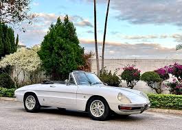 Image result for Ivory 1966 Alfa-Romeo