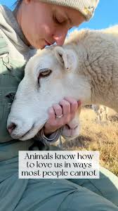 MEET FIONA 🐑💛 Born