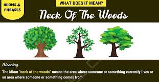 Neck Of The Woods What Is The Meaning Of This Popular Idiom 7 E S L Idioms Idioms And Phrases Meant To Be