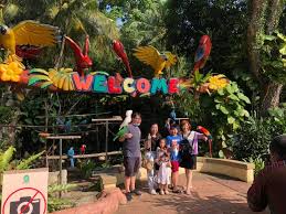 A'famosa animal world safari address: A Famosa Safari Wonderland Ticket Ticket2u