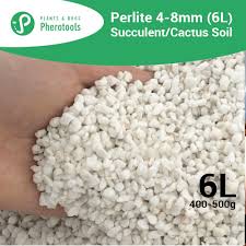The type of cactus soil needed depends on whether you are potting a. 6 Litres Perlite Xl 4 8mm Perfect For Potting Soil Mix Succulent Cactus Shopee Malaysia