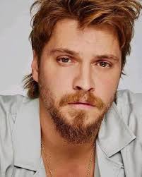 How many people just want Yellowstone to continue