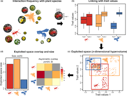 Pest control service for peterborough, huntingdon, march, ely and beyond! Exotic Flower Visitors Exploit Large Floral Trait Spaces Resulting In Asymmetric Resource Partitioning With Native Visitors Kuppler 2017 Functional Ecology Wiley Online Library