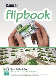 Wetlands Flip Book A Free Download Flip Book Elementary Science Kindergarten Science