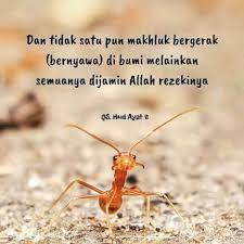 Dan tidak satupun makhluk bergerak (bernyawa) di bumi. Rezeki