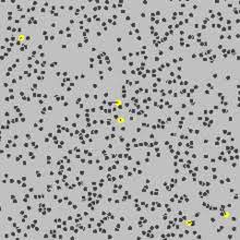 Brownian motion is the random motion of a particle as a result of collisions with surrounding gaseous molecules. Brownian Motion Wikipedia