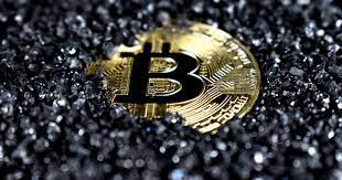 — says the best cryptocurrency for investors to focus on right now. 5 Best Altcoins To Buy During The Dip Benzinga