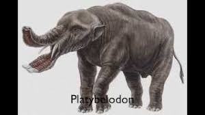 With thousands more domesticated and wild animal lists planned, our goal is to become the most comprehensive and thoroughly researched. Prehistoric Animals A To Z Youtube