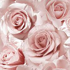 Tags flowers and plants, rose, women's day. Muriva Madison Rose Pattern Wallpaper Flower Glitter Vinyl 139521
