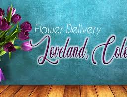 Rowes flowers, loveland, larimer county, colorado, jungtinės valstijos — vieta žemėlapyje, telefonas, darbo valandos, atsiliepimai. The 9 Best Options For Flower Delivery In Ann Arbor Michigan 2021