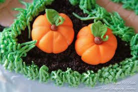 Let martha stewart weddings help you design your dream wedding with our elevated inspiration, innovative ideas, and expert advice. Petter Rabbit S Garden Cake Making Life A Little Sweeter