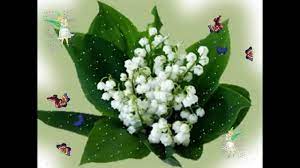 Envoyez gratuitement une jolie carte 1er mai, la fête du muguet à vos. 1er Mai Muguet Cartes Virtuelles Youtube