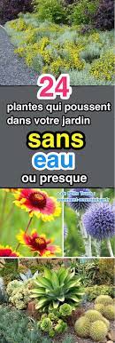 Pour une plante d'intérieur, arroser toutes les semaines ou toutes les deux semaines. 24 Plantes Qui Poussent Dans Votre Jardin Sans Eau Ou Presque