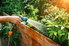 Maybe you would like to learn more about one of these? Arrosage Attention Toutes Les Plantes N Ont Pas Les Memes Besoins Une Astuce Miracle Saine Abondance Com